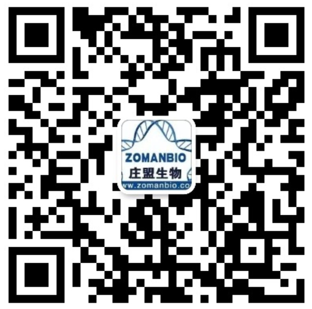 技術(shù)二維碼.jpg 圖片