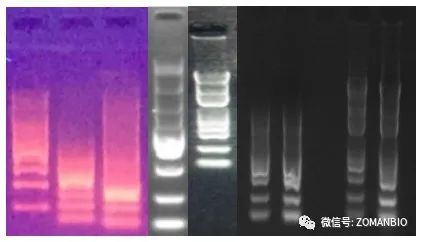 22.6效果圖痛點(diǎn)1圖.jpg 圖片